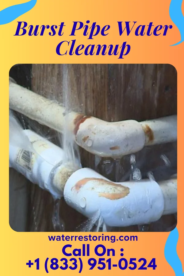 Burst Pipe Water Cleanup in Wheatley, AR